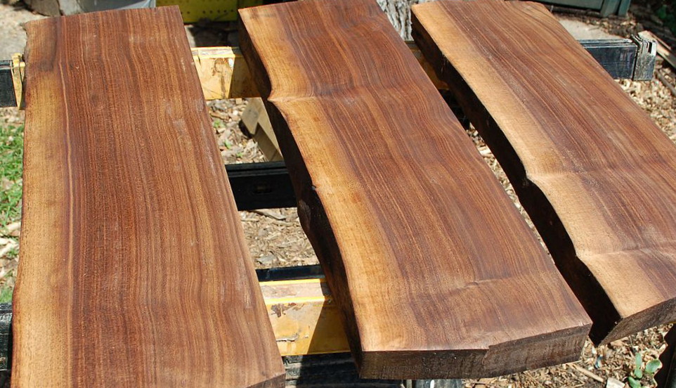 Three rough-sawn black walnut slabs with live edges, chocolate-brown heartwood and pale sapwood bands, laid out in sunlight