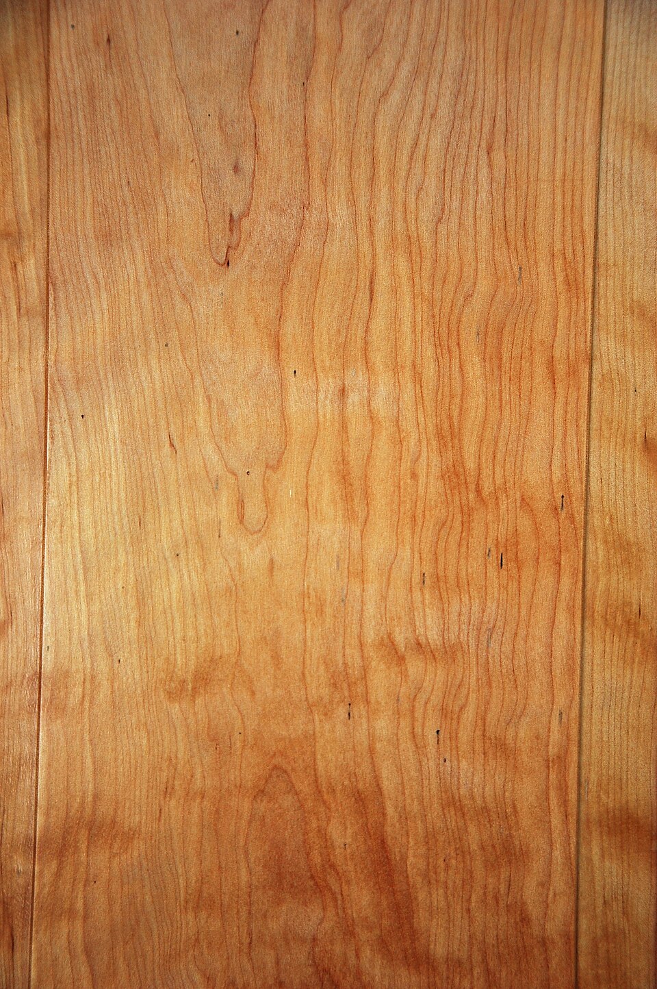 A finished flatsawn board face with large arching cathedral grain patterns running up its center