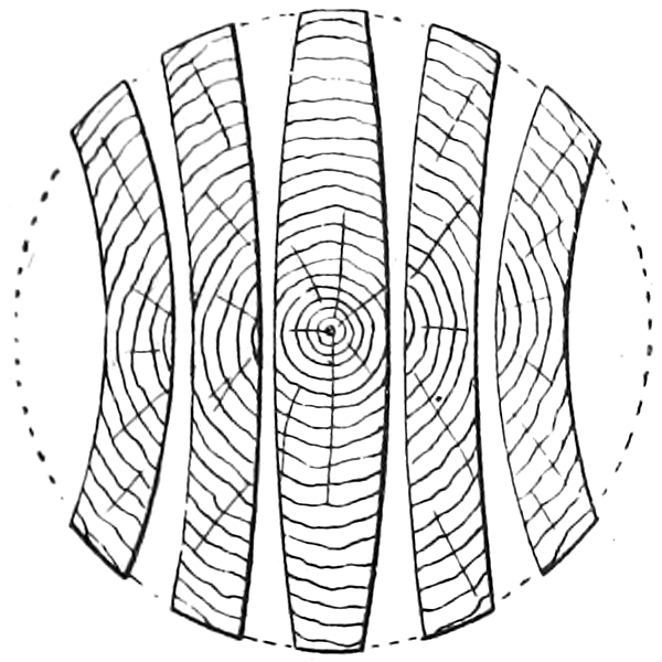 A log cross-section with five sawn planks drawn in place, each warped according to its position — outer flatsawn boards cup away from the center while the middle quartersawn board stays flat