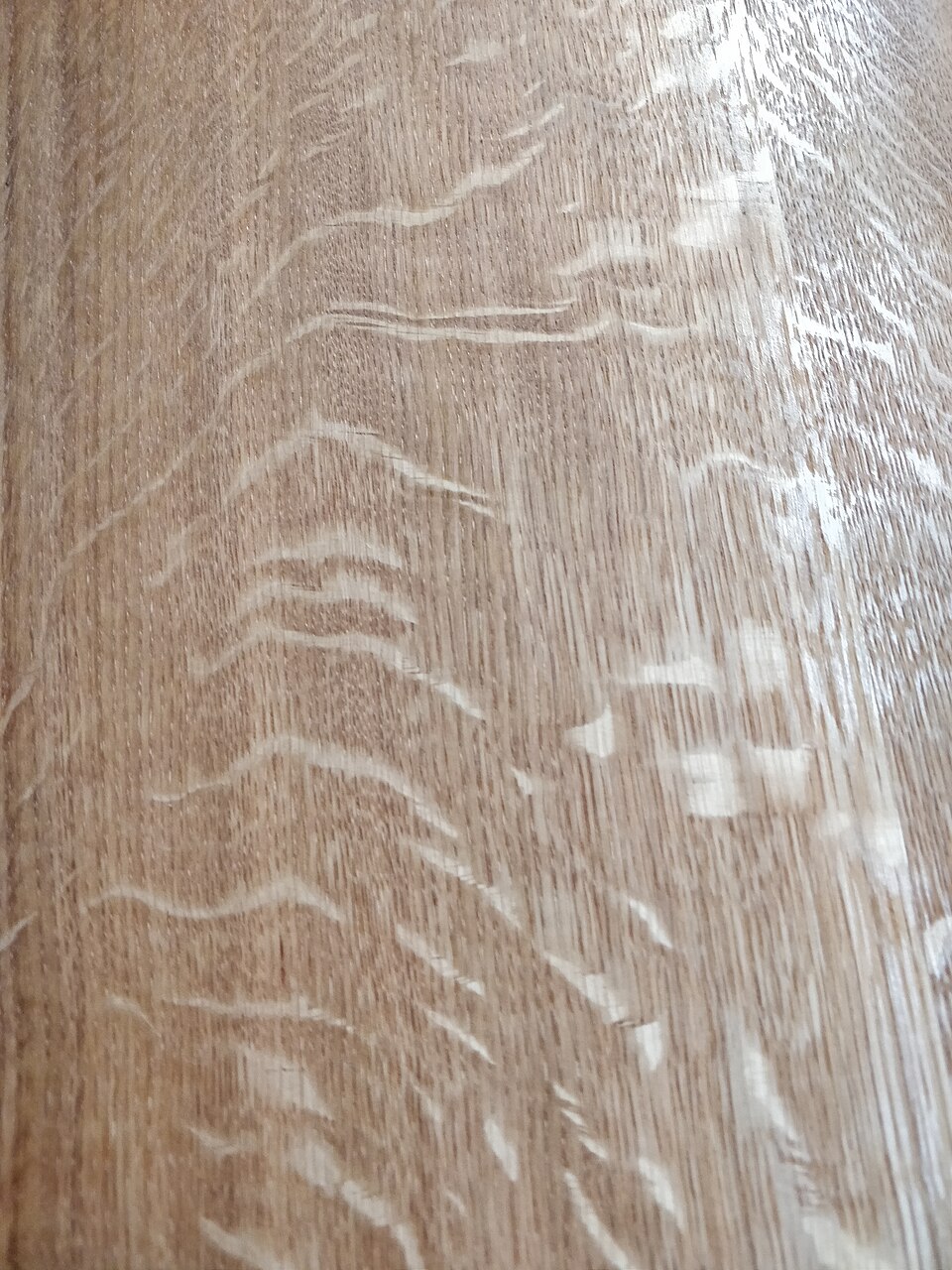 A sanded and oiled quartersawn oak surface with shimmering irregular ray-fleck figure across straight grain