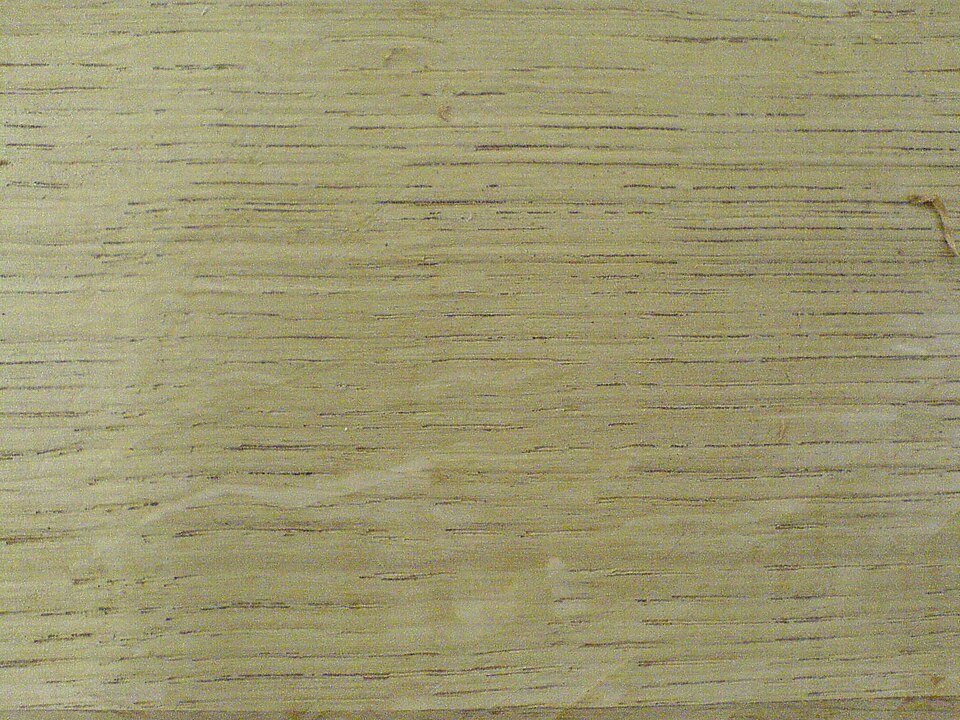 An oak board face with fine, dead-straight, evenly spaced parallel grain lines and no arches or fleck